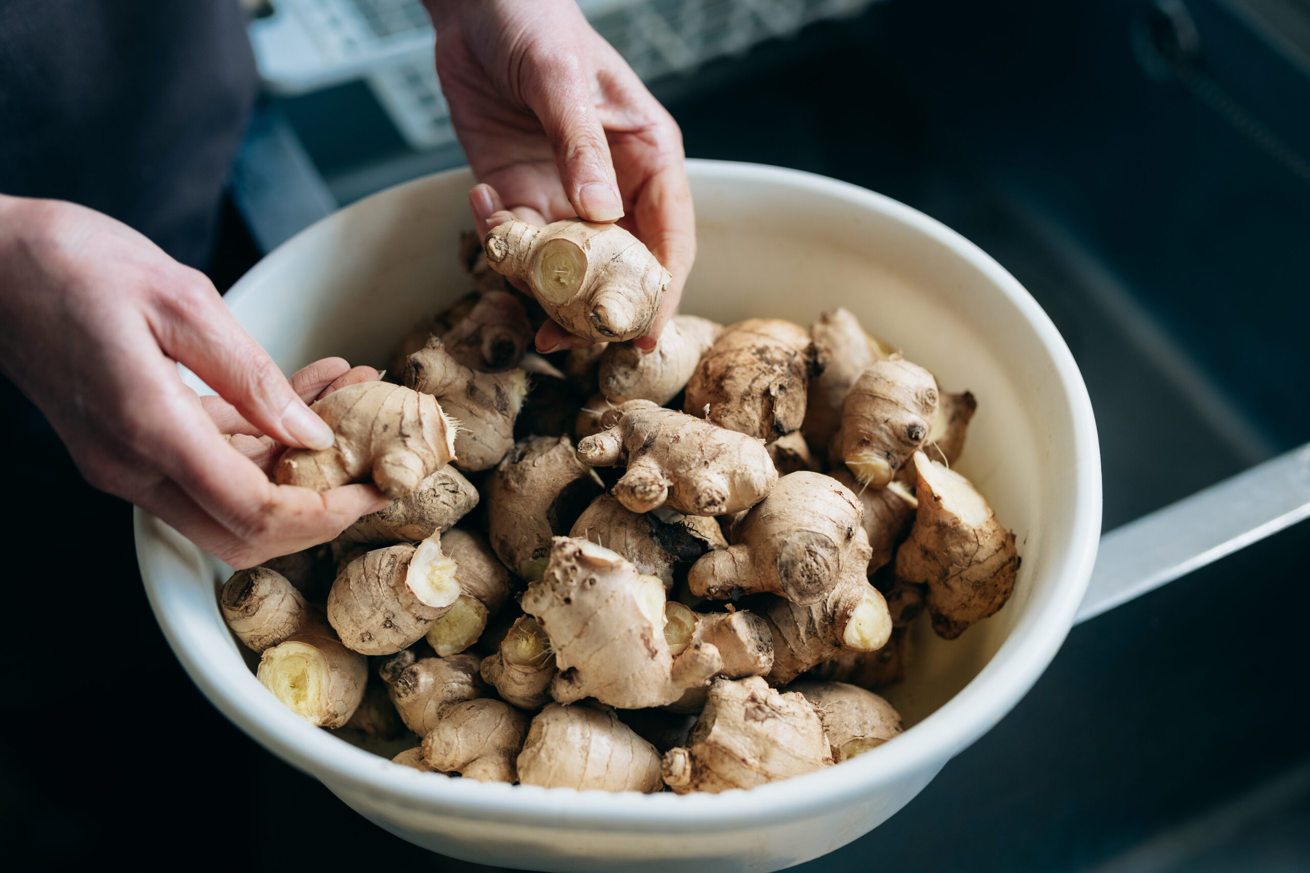 ほんきのしょうが糖