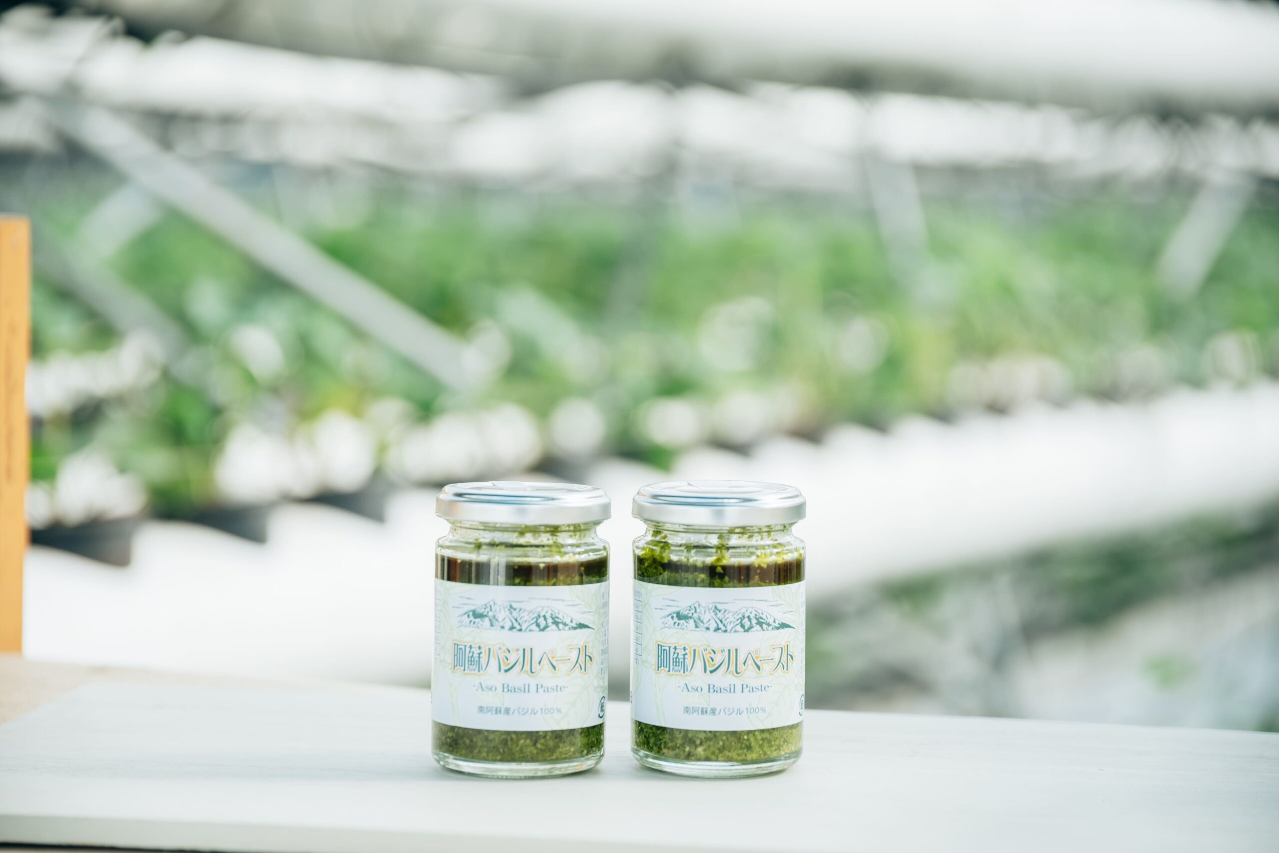 阿蘇バジルペースト 100g