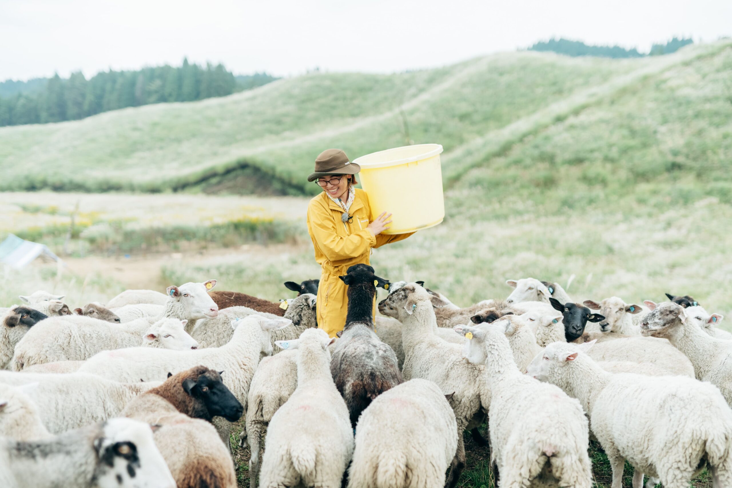 阿蘇タカナード