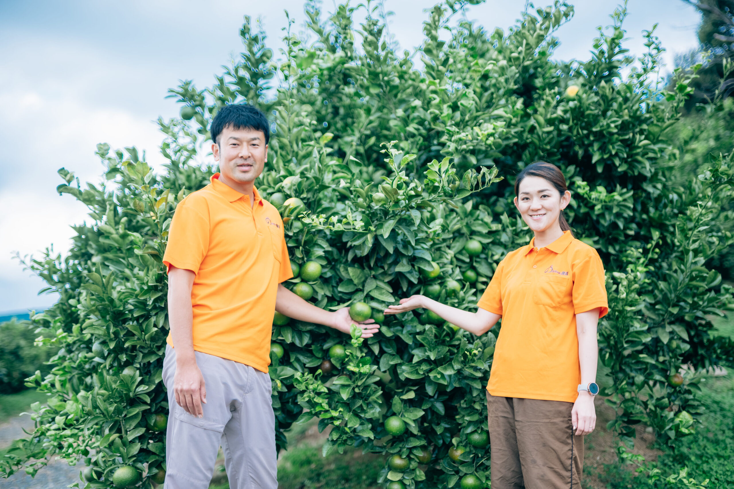 こだわり はるか 3kg